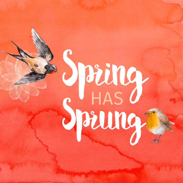 Spring Has Sprung Wallpaper by Wilde Designs