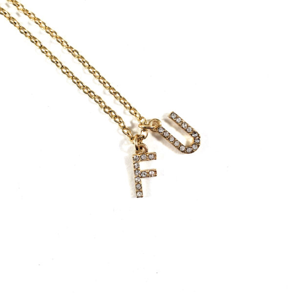FU Humorous Necklace in Gold Bling by Wilde Designs