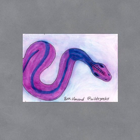 Slithering Snake Art Card by Wilde Designs