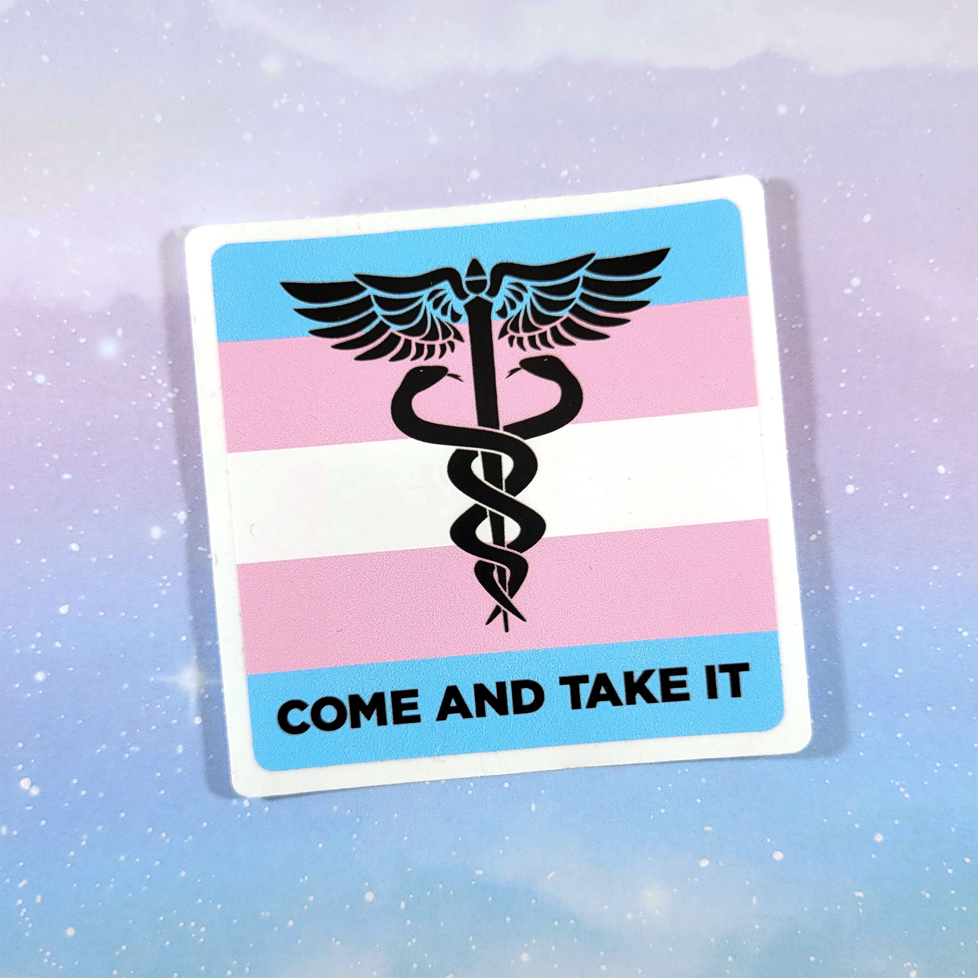 Come and Take it Trans Rights sticker by Wilde Designs